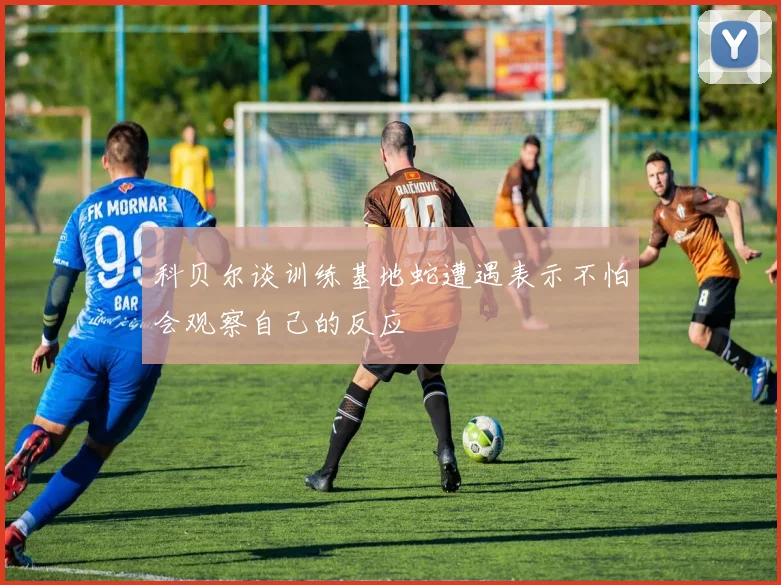 科贝尔谈训练基地蛇遭遇表示不怕会观察自己的反应